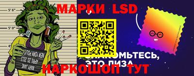 гидропоника Краснознаменск