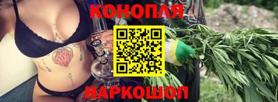 гидропоника Краснознаменск