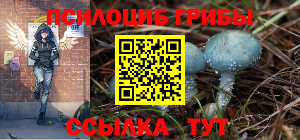 Когалым  Псилоцибиновые грибы Magic Shrooms  Вход с VPN 
