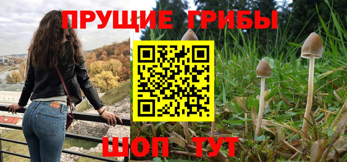 Галлюциногенные грибы Cubensis Когалым